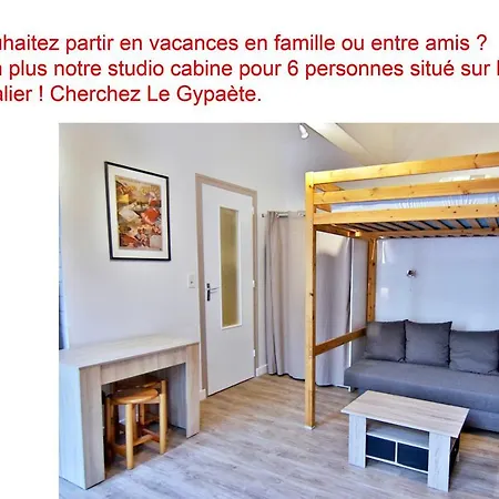 Le Desman, Studio, Wifi, Ascenseur, 4 Personnes * Cauterets